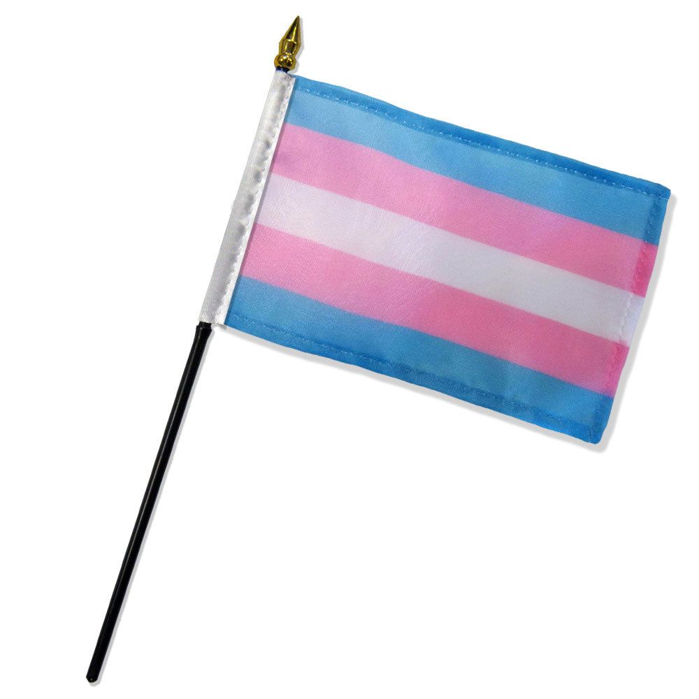 4x6 Transgender Pride Flag - Pride Basics