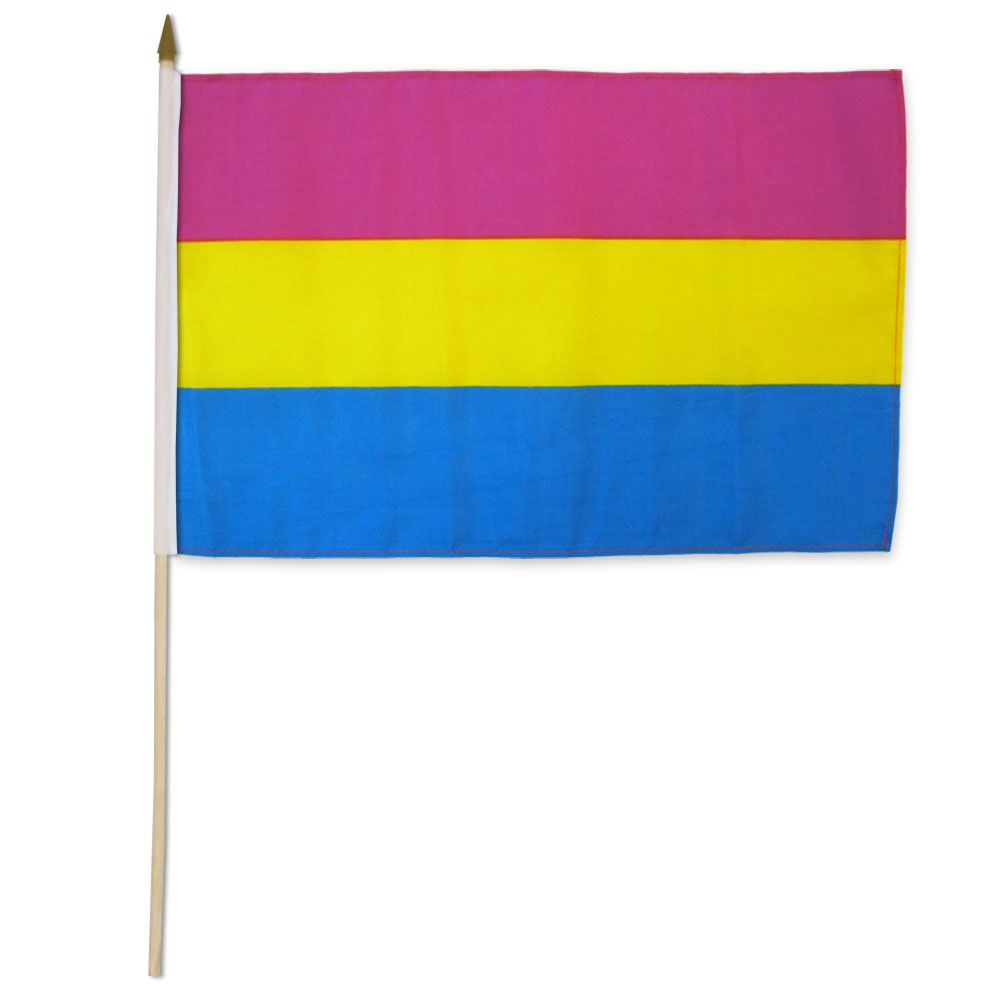 One Dozen Pack THE FLAG JOINT Pansexual Pride 12x18 Stick Flags 